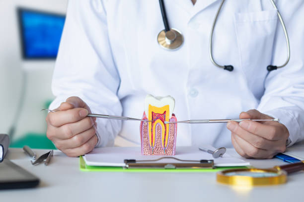 Best Emergency Dental Care for Abscessed Tooth in Wilson, PA